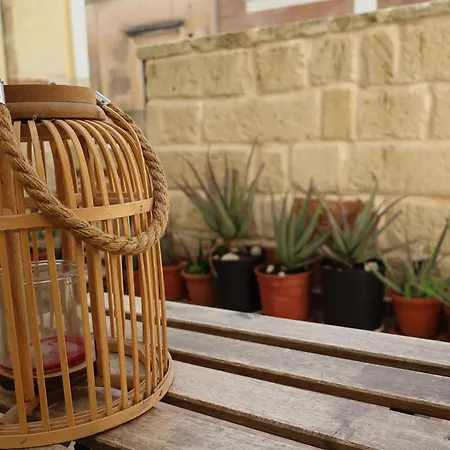 A7passi Gran Stella Leccese 